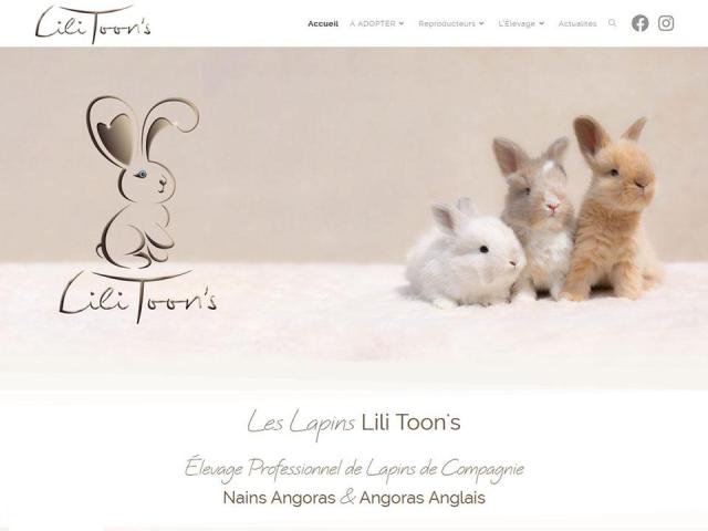 Les Lapins Lili Toon's