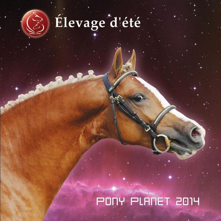 Pony Planet 2014