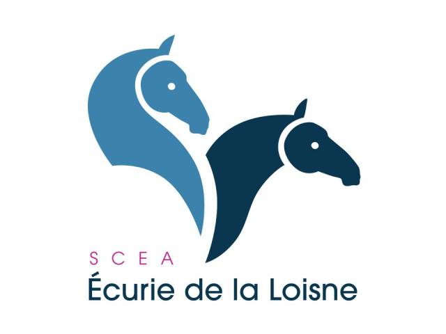Voir