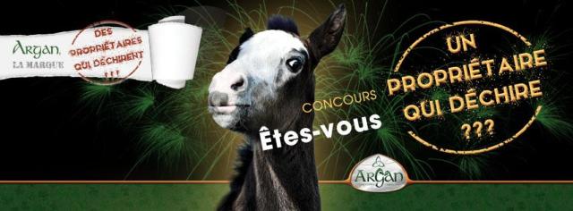 Voir