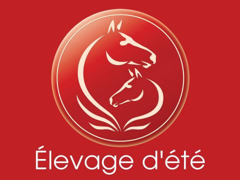 Voir