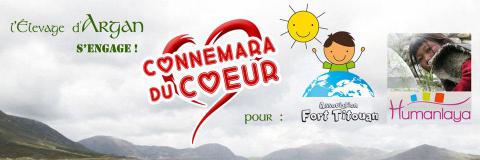 Voir